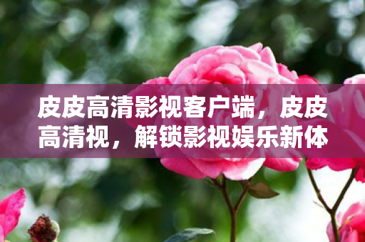 皮皮高清影视客户端，皮皮高清视，解锁影视娱乐新体验