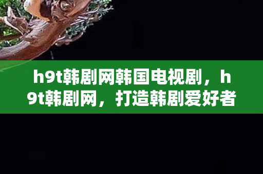 h9t韩剧网韩国电视剧,h9t韩剧网,打造韩剧爱好者的天堂 h9t韩剧网韩国电视剧,h9t韩剧网,打造韩剧爱好者的天堂