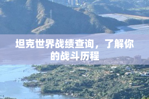 坦克世界战绩查询,了解你的战斗历程 坦克世界战绩查询,了解你的战斗历程