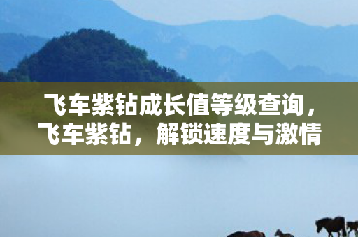 飞车紫钻成长值等级查询,飞车紫钻,解锁速度与激情的专属特权 飞车紫钻成长值等级查询,飞车紫钻,解锁速度与激情的专属特权
