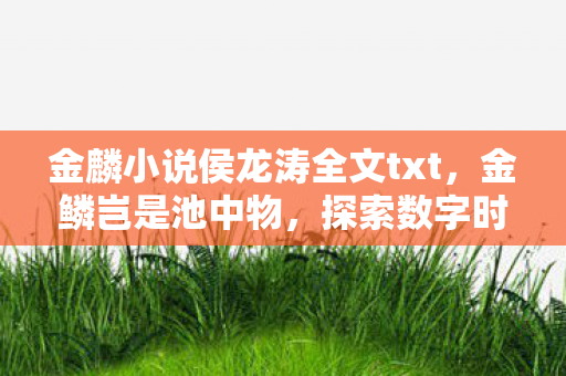金麟小说侯龙涛全文txt，金鳞岂是池中物，探索数字时代的无限可能