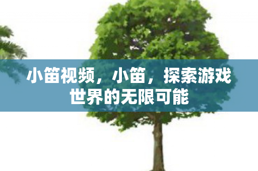 小笛视频,小笛,探索游戏世界的无限可能 小笛视频,小笛,探索游戏世界的无限可能
