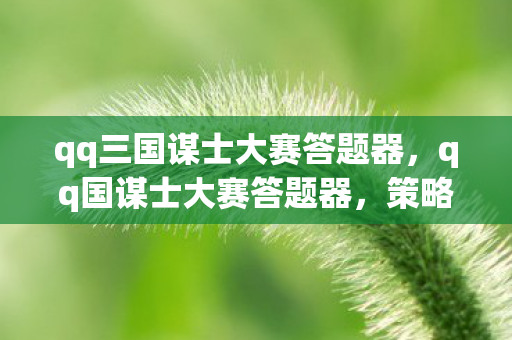 qq三国谋士大赛答题器，qq国谋士大赛答题器，策略与智慧的碰撞