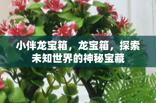 小伴龙宝箱,龙宝箱,探索未知世界的神秘宝藏 小伴龙宝箱,龙宝箱,探索未知世界的神秘宝藏