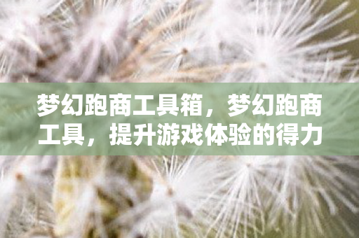 梦幻跑商工具箱,梦幻跑商工具,提升游戏体验的得力助手 梦幻跑商工具箱,梦幻跑商工具,提升游戏体验的得力助手