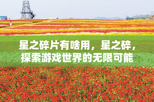 星之碎片有啥用，星之碎，探索游戏世界的无限可能