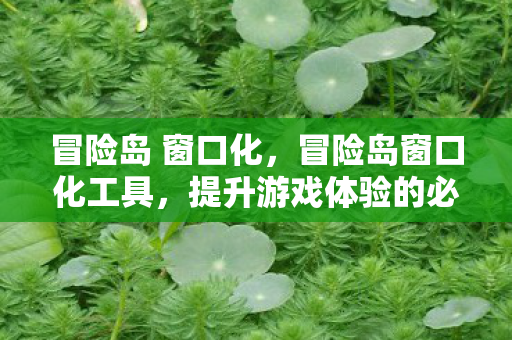 冒险岛 窗口化,冒险岛窗口化工具,提升游戏体验的必备神器 冒险岛 窗口化,冒险岛窗口化工具,提升游戏体验的必备神器
