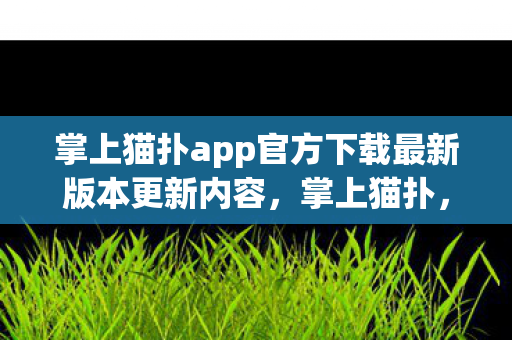 掌上猫扑app官方下载最新版本更新内容，掌上猫扑，探索游戏世界的便捷门户