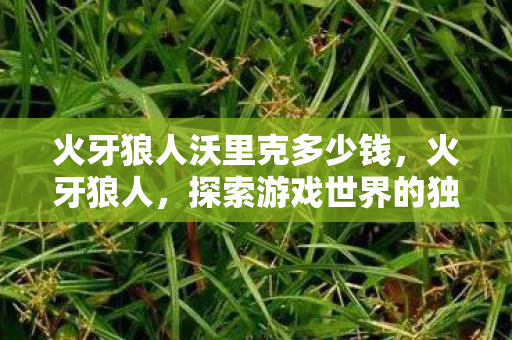 火牙狼人沃里克多少钱，火牙狼人，探索游戏世界的独特魅力