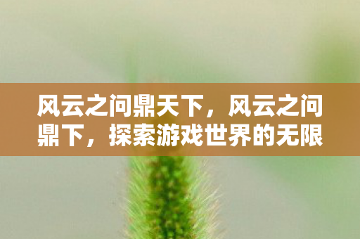 风云之问鼎天下,风云之问鼎下,探索游戏世界的无限可能 风云之问鼎天下,风云之问鼎下,探索游戏世界的无限可能