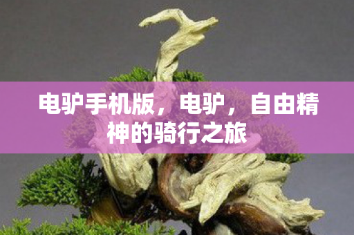 电驴手机版,电驴,自由精神的骑行之旅 电驴手机版,电驴,自由精神的骑行之旅