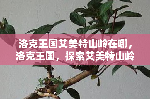 洛克王国艾美特山岭在哪，洛克王国，探索艾美特山岭的奇幻之旅