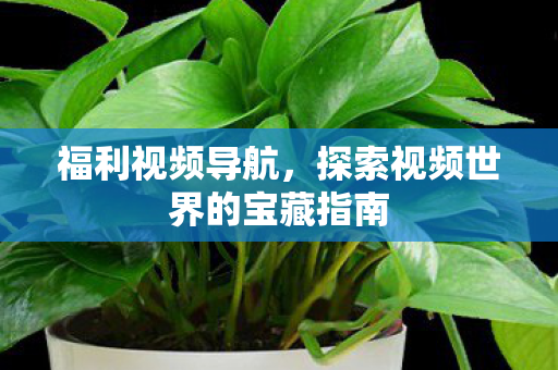 福利视频导航,探索视频世界的宝藏指南 福利视频导航,探索视频世界的宝藏指南