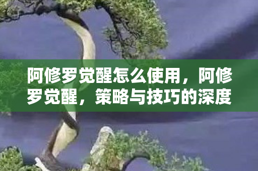 阿修罗觉醒怎么使用,阿修罗觉醒,策略与技巧的深度解析 阿修罗觉醒怎么使用,阿修罗觉醒,策略与技巧的深度解析