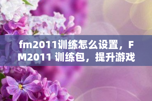 fm2011训练怎么设置,FM2011 训练包,提升游戏技能与策略的关键工具 fm2011训练怎么设置,FM2011 训练包,提升游戏技能与策略的关键工具