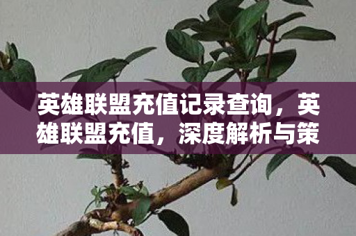 英雄联盟充值记录查询,英雄联盟充值,深度解析与策略建议 英雄联盟充值记录查询,英雄联盟充值,深度解析与策略建议