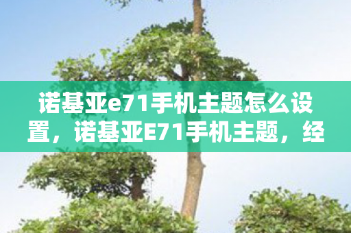 诺基亚e71手机主题怎么设置,诺基亚E71手机主题,经典再现,重塑商务经典 诺基亚e71手机主题怎么设置,诺基亚E71手机主题,经典再现,重塑商务经典