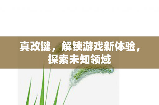 真改键,解锁游戏新体验,探索未知领域 真改键,解锁游戏新体验,探索未知领域