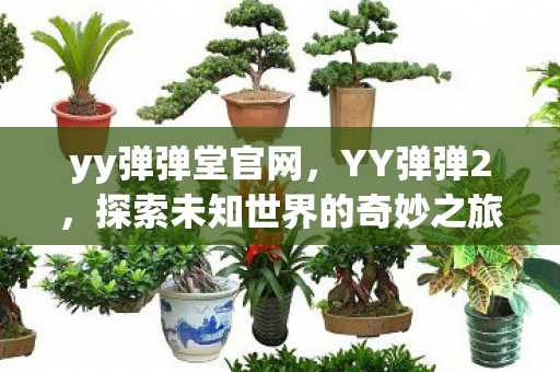 yy弹弹堂官网，YY弹弹2，探索未知世界的奇妙之旅
