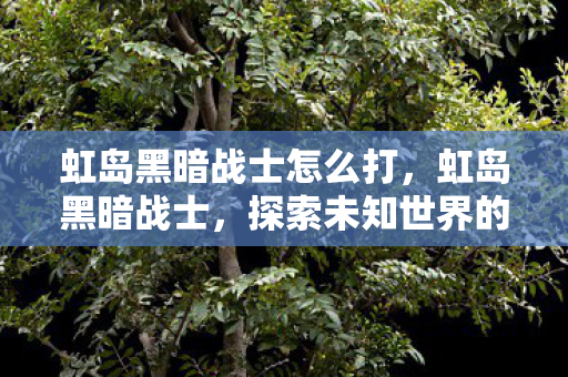 虹岛黑暗战士怎么打,虹岛黑暗战士,探索未知世界的勇士 虹岛黑暗战士怎么打,虹岛黑暗战士,探索未知世界的勇士