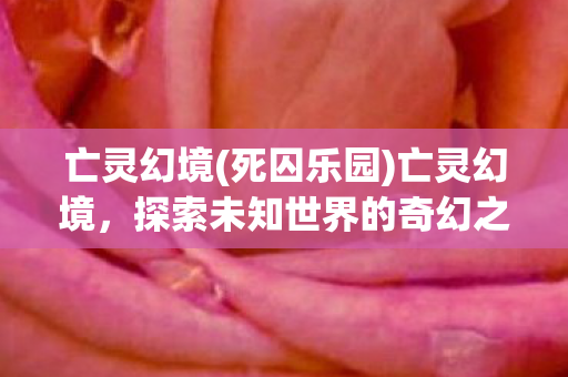 亡灵幻境(死囚乐园)亡灵幻境，探索未知世界的奇幻之旅