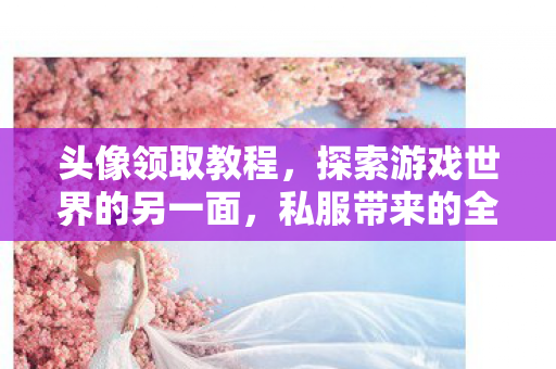 头像领取教程,探索游戏世界的另一面,私服带来的全新体验 头像领取教程,探索游戏世界的另一面,私服带来的全新体验