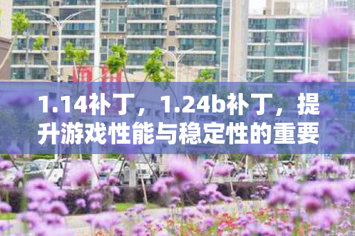 1.14补丁,1.24b补丁,提升游戏性能与稳定性的重要更新 1.14补丁,1.24b补丁,提升游戏性能与稳定性的重要更新