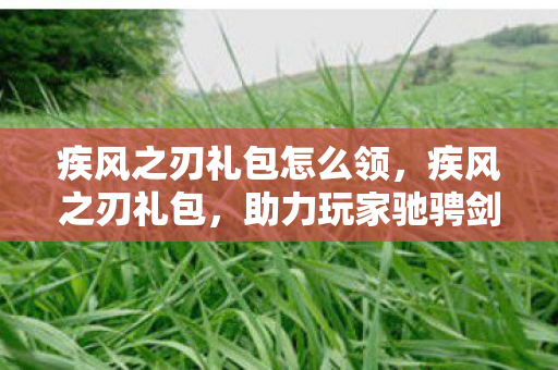 疾风之刃礼包怎么领,疾风之刃礼包,助力玩家驰骋剑与魔法的世界 疾风之刃礼包怎么领,疾风之刃礼包,助力玩家驰骋剑与魔法的世界