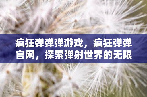 疯狂弹弹弹游戏,疯狂弹弹官网,探索弹射世界的无限可能 疯狂弹弹弹游戏,疯狂弹弹官网,探索弹射世界的无限可能