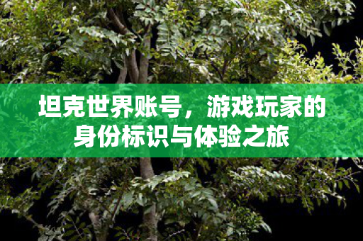 坦克世界账号,游戏玩家的身份标识与体验之旅 坦克世界账号,游戏玩家的身份标识与体验之旅