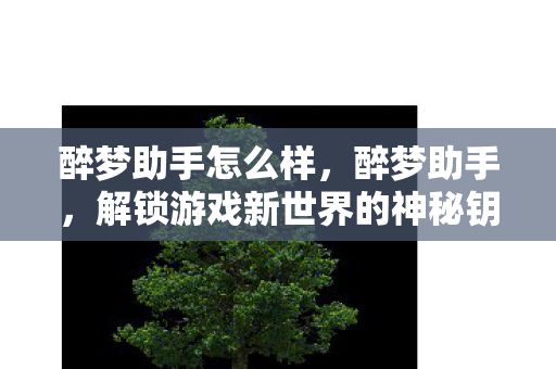 醉梦助手怎么样,醉梦助手,解锁游戏新世界的神秘钥匙 醉梦助手怎么样,醉梦助手,解锁游戏新世界的神秘钥匙