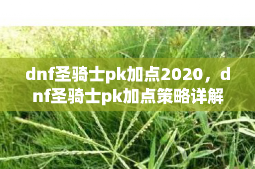 dnf圣骑士pk加点2020,dnf圣骑士pk加点策略详解 dnf圣骑士pk加点2020,dnf圣骑士pk加点策略详解