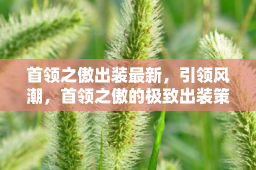 首领之傲出装最新,引领风潮,首领之傲的极致出装策略 首领之傲出装最新,引领风潮,首领之傲的极致出装策略