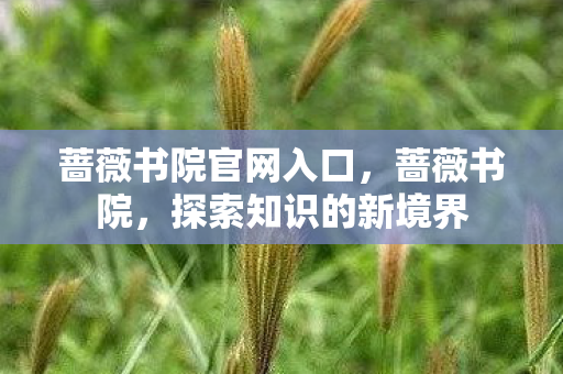 蔷薇书院官网入口,蔷薇书院,探索知识的新境界 蔷薇书院官网入口,蔷薇书院,探索知识的新境界