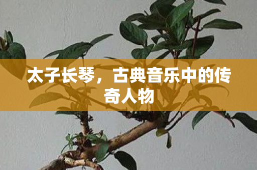 太子长琴,古典音乐中的传奇人物 太子长琴,古典音乐中的传奇人物