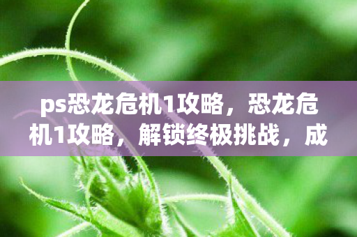 ps恐龙危机1攻略,恐龙危机1攻略,解锁终极挑战,成为生存大师 ps恐龙危机1攻略,恐龙危机1攻略,解锁终极挑战,成为生存大师