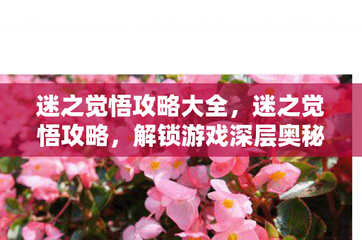 迷之觉悟攻略大全,迷之觉悟攻略,解锁游戏深层奥秘 迷之觉悟攻略大全,迷之觉悟攻略,解锁游戏深层奥秘