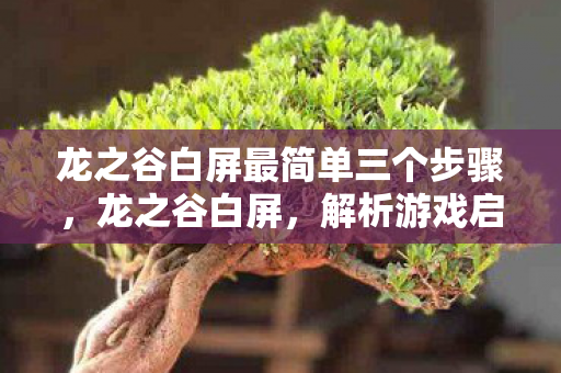 龙之谷白屏最简单三个步骤，龙之谷白屏，解析游戏启动异常现象