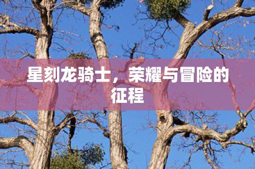 星刻龙骑士,荣耀与冒险的征程 星刻龙骑士,荣耀与冒险的征程