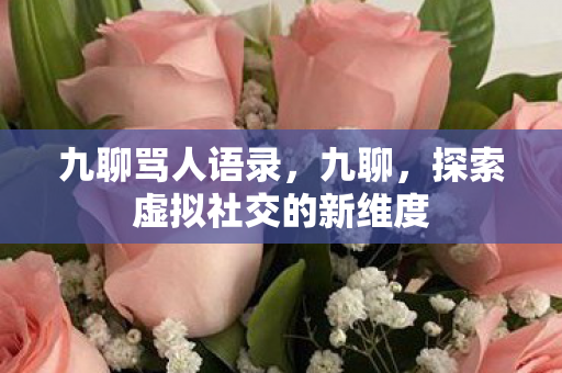 九聊骂人语录,九聊,探索虚拟社交的新维度 九聊骂人语录,九聊,探索虚拟社交的新维度