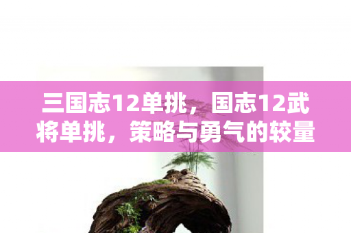 三国志12单挑,国志12武将单挑,策略与勇气的较量 三国志12单挑,国志12武将单挑,策略与勇气的较量