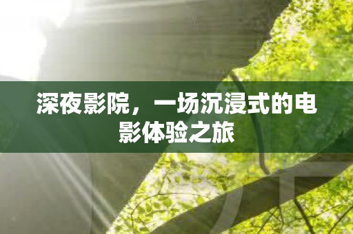深夜影院,一场沉浸式的电影体验之旅 深夜影院,一场沉浸式的电影体验之旅
