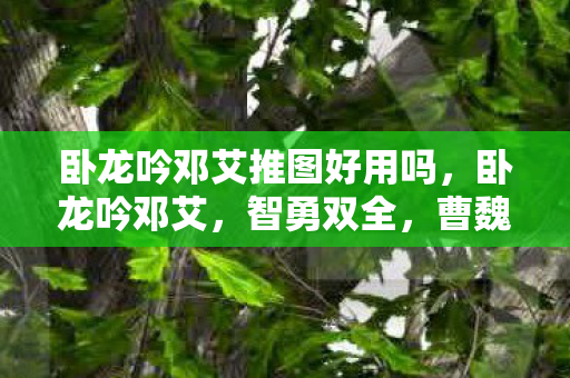 卧龙吟邓艾推图好用吗,卧龙吟邓艾,智勇双全,曹魏的边疆守护者 卧龙吟邓艾推图好用吗,卧龙吟邓艾,智勇双全,曹魏的边疆守护者