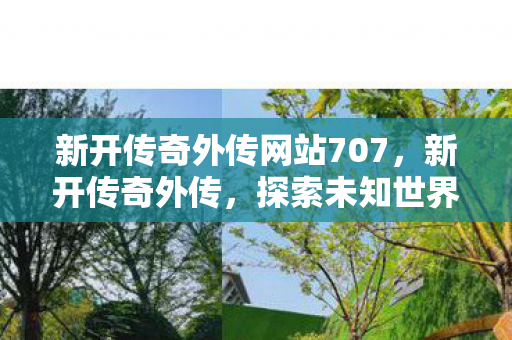 新开传奇外传网站707,新开传奇外传,探索未知世界的奇妙旅程 新开传奇外传网站707,新开传奇外传,探索未知世界的奇妙旅程