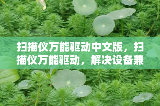 扫描仪万能驱动中文版，扫描仪万能驱动，解决设备兼容问题的利器