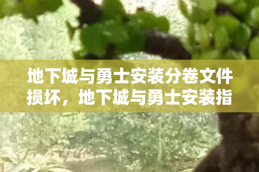 地下城与勇士安装分卷文件损坏，地下城与勇士安装指南，流畅体验从正确安装开始