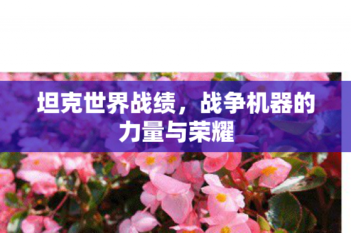 坦克世界战绩,战争机器的力量与荣耀 坦克世界战绩,战争机器的力量与荣耀