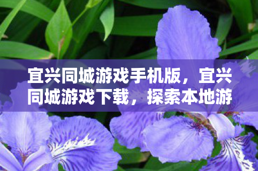 宜兴同城游戏手机版,宜兴同城游戏下载,探索本地游戏乐趣的便捷途径 宜兴同城游戏手机版,宜兴同城游戏下载,探索本地游戏乐趣的便捷途径