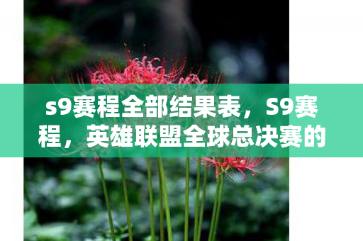 s9赛程全部结果表,S9赛程,英雄联盟全球总决赛的激情与荣耀 s9赛程全部结果表,S9赛程,英雄联盟全球总决赛的激情与荣耀