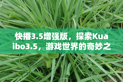 快播3.5增强版,探索Kuaibo3.5,游戏世界的奇妙之旅 快播3.5增强版,探索Kuaibo3.5,游戏世界的奇妙之旅